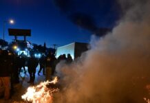 agrotes 2 1200x630.jpg