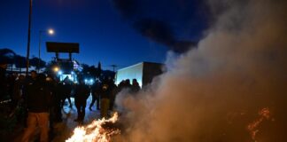 agrotes 2 1200x630.jpg