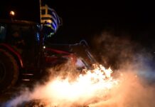 agrotes 2 2 1200x630.jpg