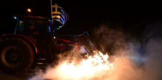 agrotes 2 2 1200x630.jpg