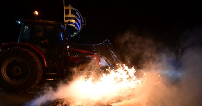 agrotes 2 2 1200x630.jpg