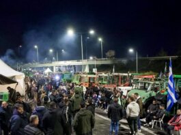 agrotes 2 3 1200x630.jpg