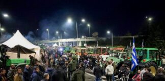 agrotes 2 3 1200x630.jpg