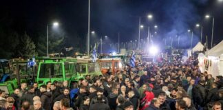 agrotes 3 1200x630.jpg