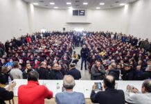 agrotes 4 1200x630.jpg