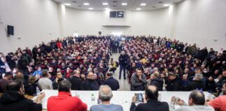 agrotes 4 1200x630.jpg