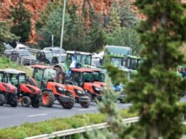 agrotes 5 1200x630.jpg