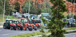 agrotes 5 1200x630.jpg