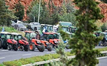 agrotes 5 1200x630.jpg