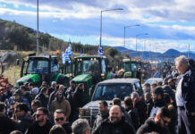 agrotes eurok 4 1200x630.jpg