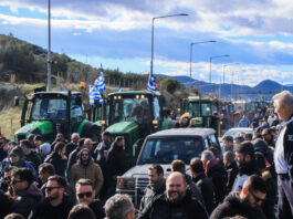 agrotes eurok 4 1200x630.jpg