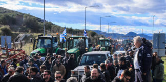 agrotes eurok 4 1200x630.jpg