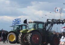 agrotes eurok 5 1200x630.jpg