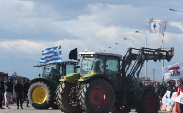 agrotes eurok 5 1200x630.jpg