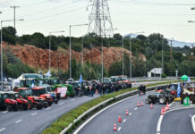 agrotes eurok 6 1200x630.jpg