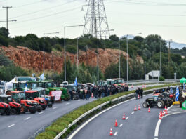 agrotes eurok 6 1200x630.jpg