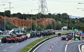 agrotes nemea 1200x630.jpg