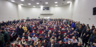 agrotes nikaia eurok 1200x630.jpg