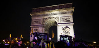 agrotes parisi r2 1200x630.jpg