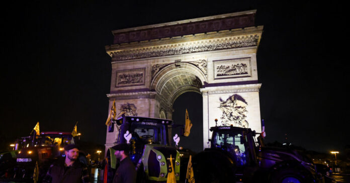 agrotes parisi r2 1200x630.jpg agrotes parisi r2 1200x630.jpg