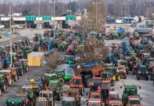 agrotes trakter eurok 1 1200x630.jpg