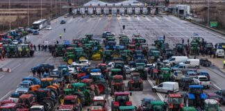 agrotes traktermalgara 1200x630.jpg