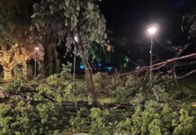 alexandroupoli kairos 11012026 1200x630.jpg