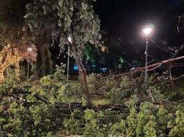 Καιρός – Αλεξανδρούπολη: «Από θαύμα δεν σημειώθηκαν δυστυχήματα» λέει μετεωρολόγος για τις ριπές ανέμου 154 χιλιομέτρων την ώρα alexandroupoli kairos 11012026 1200x630.jpg