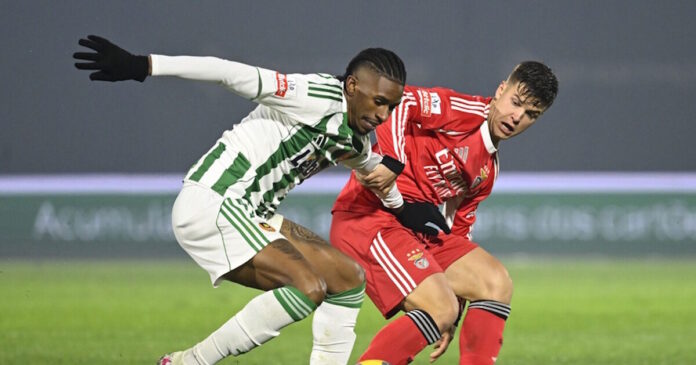 andre luiz ape 1200x630.jpg andre luiz ape 1200x630.jpg