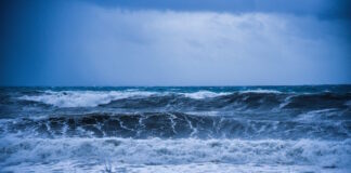 anemoi 2 1200x630.jpg