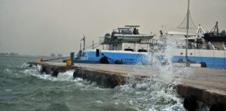 anemos 1 1200x630.jpg