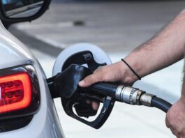 antlia venzinis 1200x630.jpg