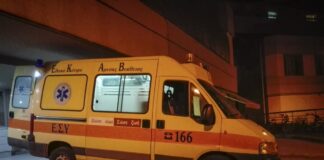 asthenoforo 1 1200x630.jpg