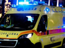 asthenoforo 1200x630.jpg