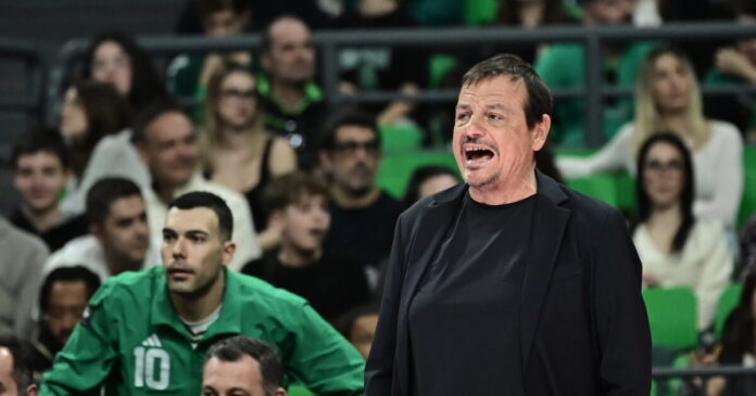 ataman 1 1200x630.jpg