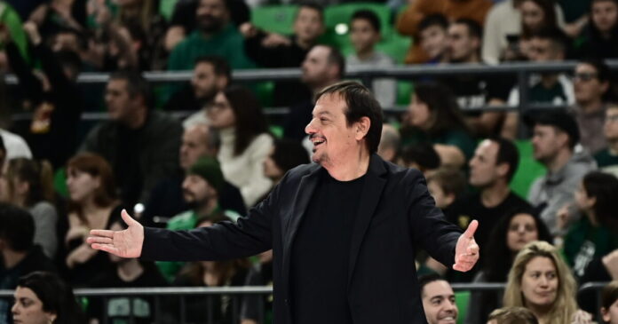 ataman 15 1200x630.jpg