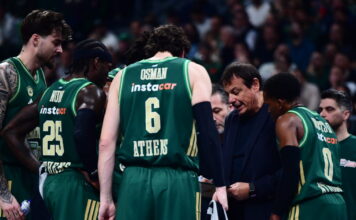 ataman 6 1200x630.jpg