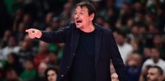 ataman 7 1200x630.jpg