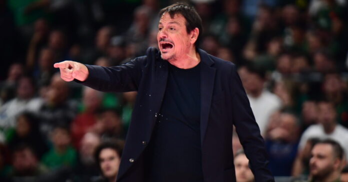 ataman 7 1200x630.jpg