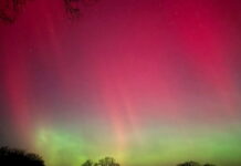 aurora borealis germany reuters 1200x630.jpg