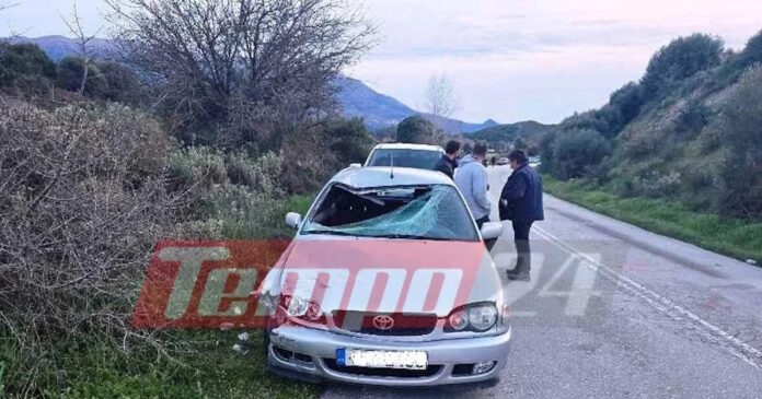 axaia troxaio 1200x630.jpg