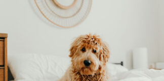 b3bb02d2534df486eac71a00f4054dc5 L.jpg