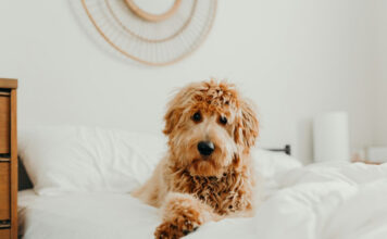 b3bb02d2534df486eac71a00f4054dc5 L.jpg