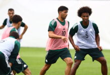 bakasetas brown 1200x630.jpg