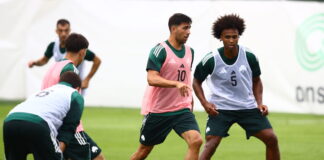 bakasetas brown 1200x630.jpg