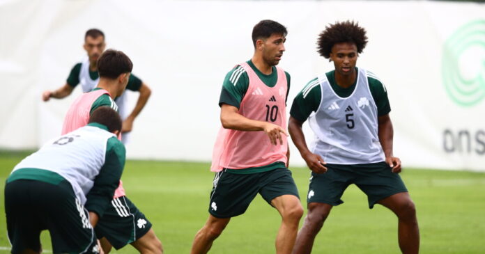 bakasetas brown 1200x630.jpg