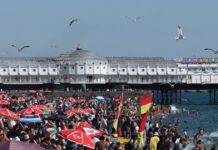 brighton 1200x630.jpg