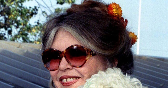 brigitte bardot reuters 1200x630.jpg