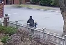 brown45 1200x675 1 1200x630.jpg