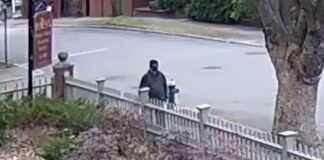 brown45 1200x675 1 1200x630.jpg